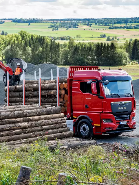 Cut-length log transport (with timber loading crane)