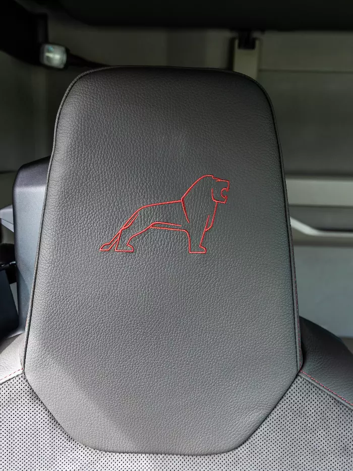 Partial leather seats with lion symbol